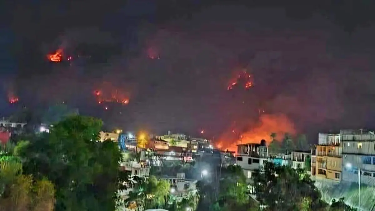 Unas 35 hectáreas de áreas verdes, entre bosque y arbustos, fueron consumidas por el incendio